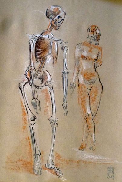 Zeichnung Akt stehende Frau mit Anatomieskelett