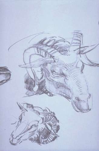 Hesekiel-Schafe Zeichnung 2001 2