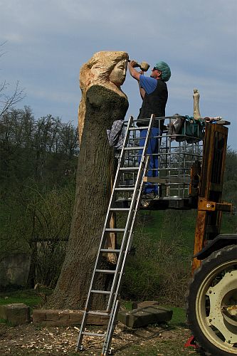 Hopfenfee in Hornburg Willeckes Lust 2017 h