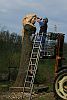 Hopfenfee in Hornburg Willeckes Lust 2017 h