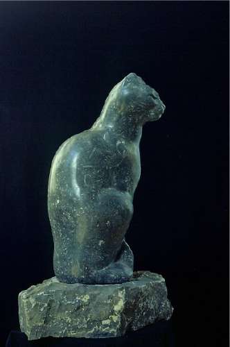 Schaumburger katze Korallenoolith 55cm 1999 b 
