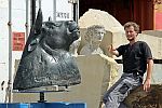 Stier Gabbro 2014 a Temming