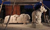 Lucklum  Schafgruppe in Arbeit  2017 f Foto Temming