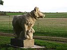 Lucklum  Huete Hund  2018 d