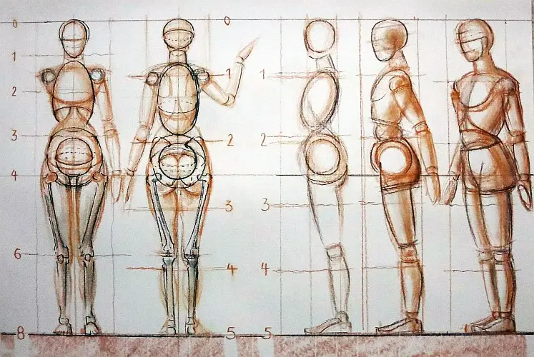 Figurenzeichnen Gliederpuppe Proportionsschema b